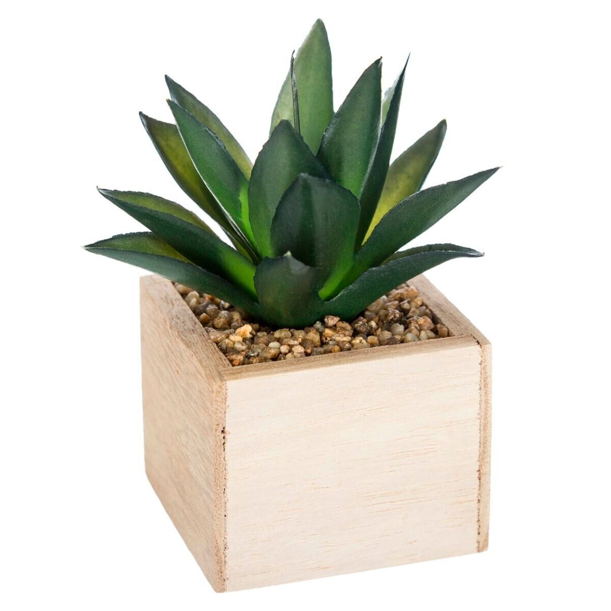 Chic planta de madera verde h14