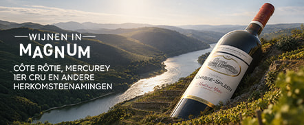 Wijnen in magnumflessen
