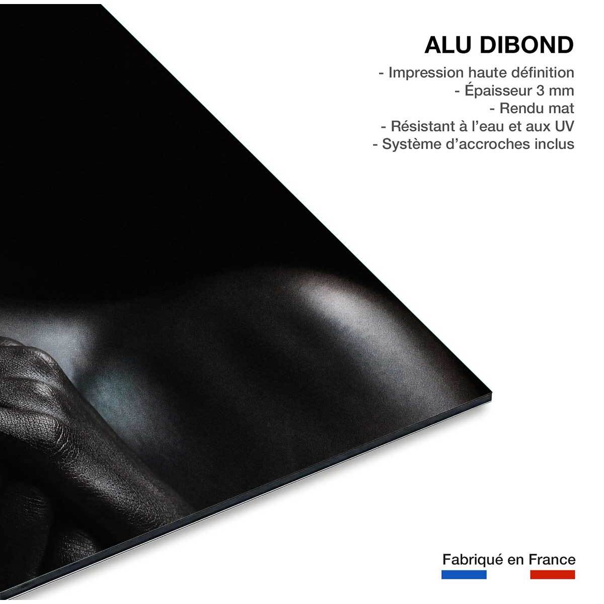 Tableau  d'art girl turquoise Tableau alu Dibond