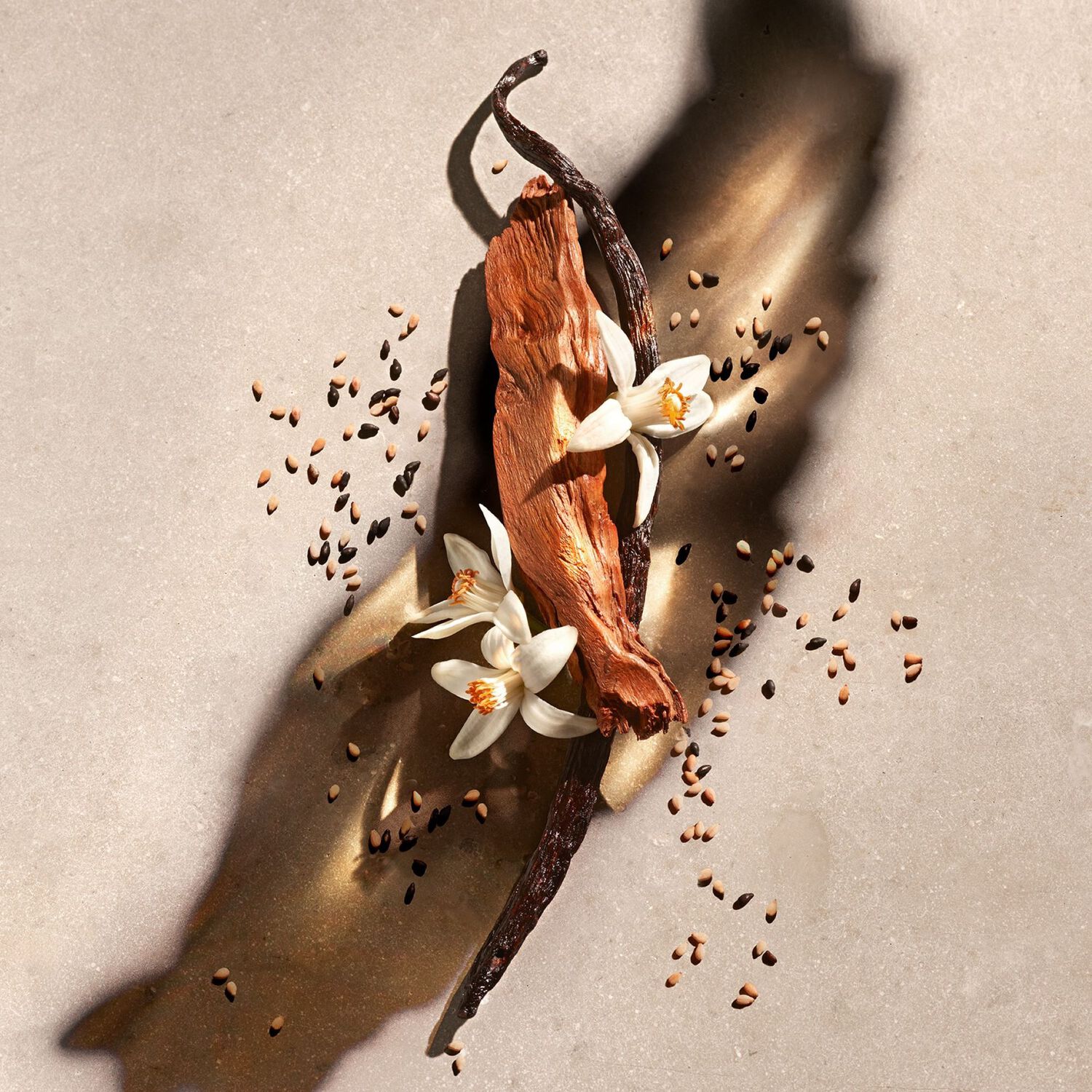 ZADIG - Eau de parfum 50 ml