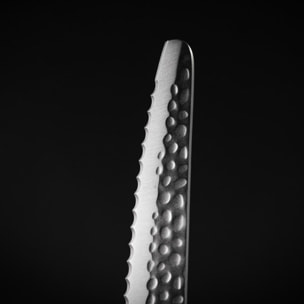 Couteau à Pain | Lame 200 mm | Acier Inoxydable | Lame Dentelée