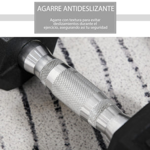Juego de Mancuernas de 10kg con Barra de Conexión Metálica y Cabeza Hexagonal Juego de Pesas 20kg Total para Entrenamiento en Casa Gimnasio Oficina Negro y Plata