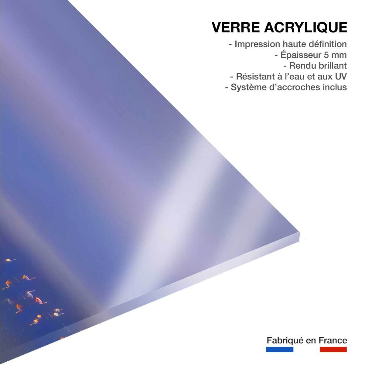 Tableau Flamants Tôt le matin Tableau plexiglas