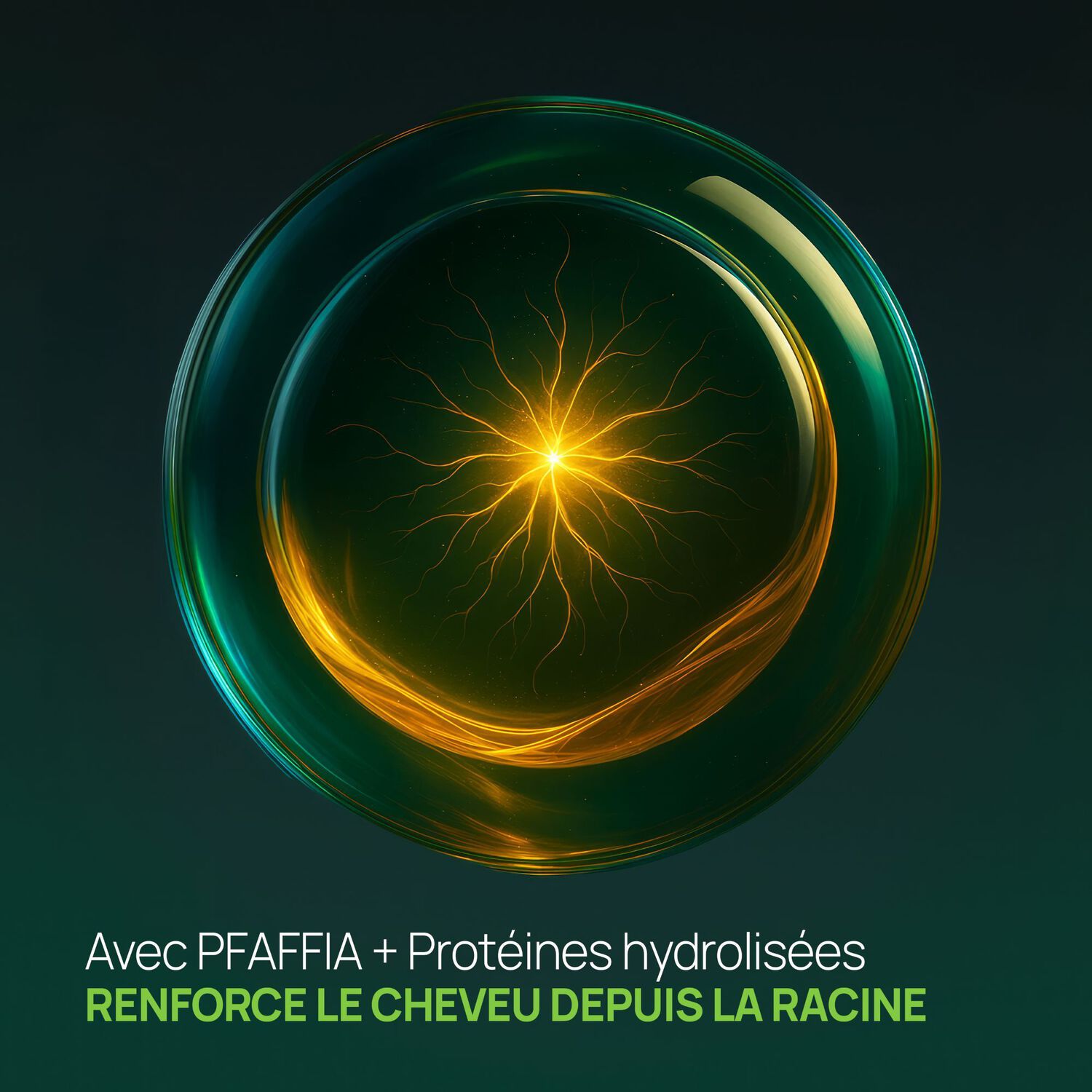 Triphasic - Baume Densifiant Longévité