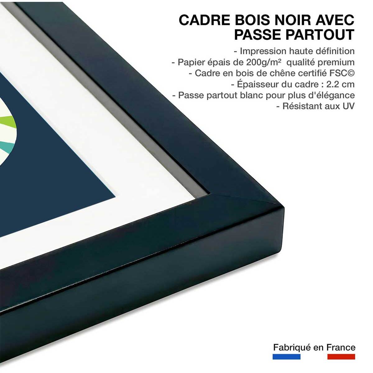 Affiche  tigre en arc en ciel Affiche sous cadre noir
