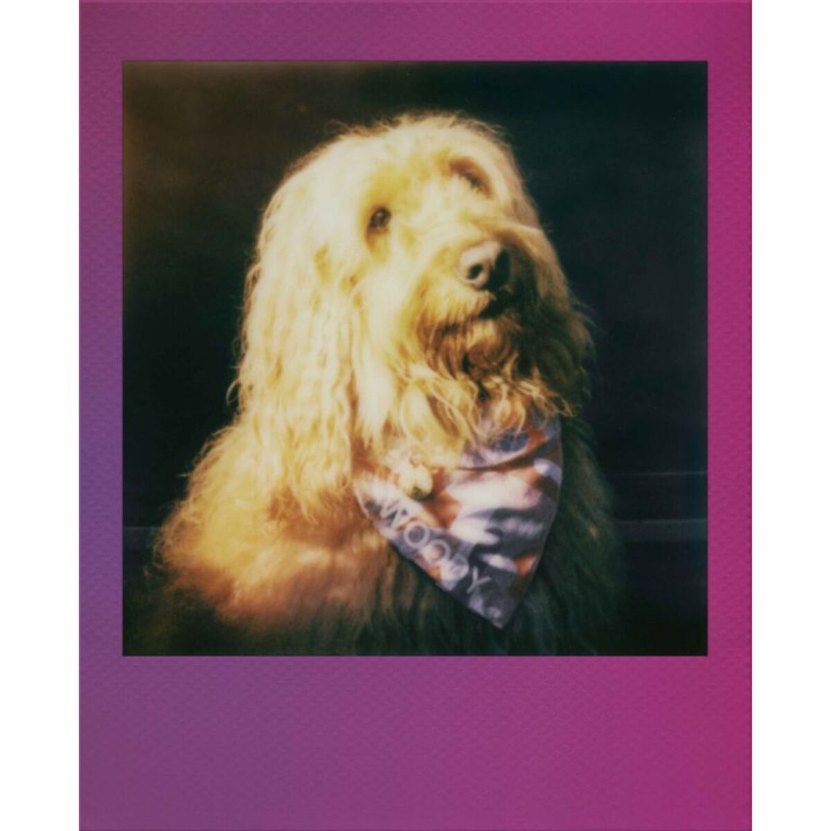 Papier photo instantané POLAROID Color Film for Go Double pack