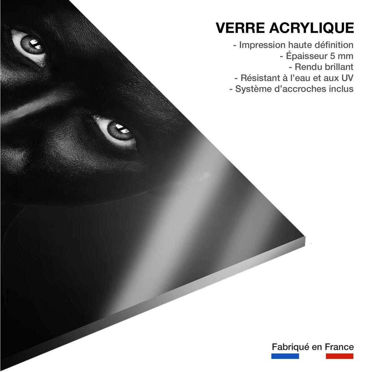 Tableau d'art portrait rouge Tableau plexiglas