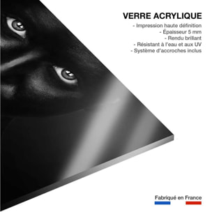 Tableau d'art portrait rouge Tableau plexiglas