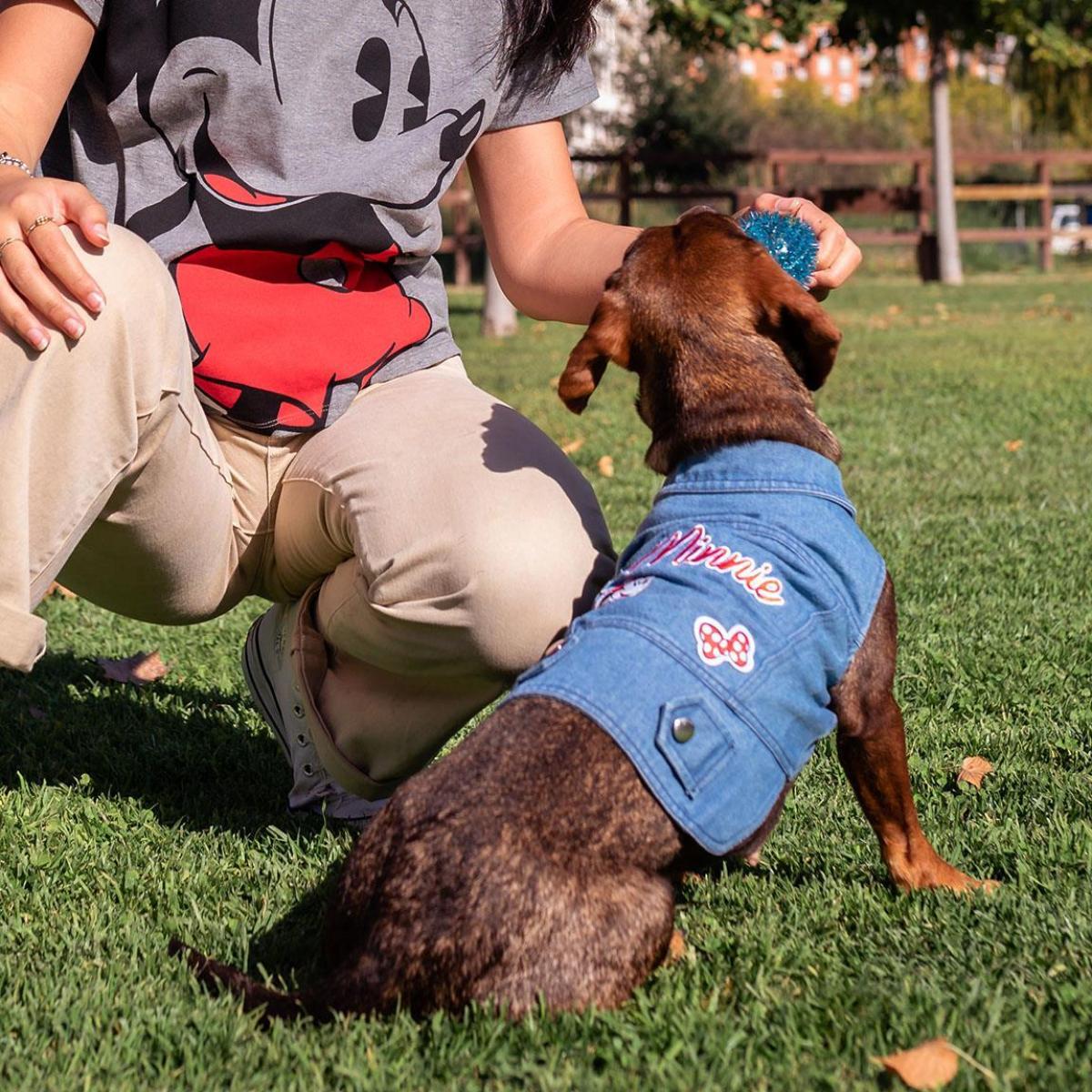 Disney Minnie Mouse Giubbotto jeans per cane XS For Fun Pets Cerdà