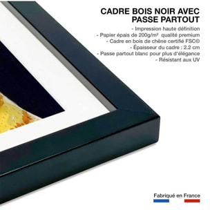 Affiche enfant chat roux  Affiche + cadre en bois - Noir