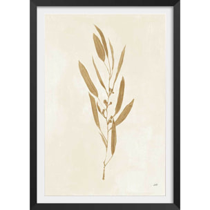 Affiche fleurs Recolte d'or Mina Affiche + cadre en bois - Noir