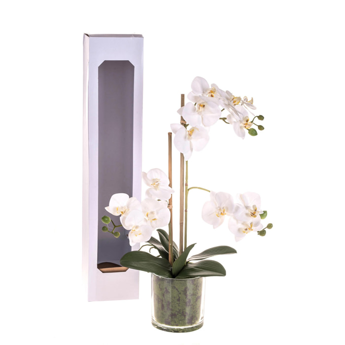 Pianta Di Phalaenopsis Con Vaso. Altezza 56 Cm - Pezzi 1 - 30X56X30cm - Colore: Bianco - Bianchi Dino - Piante Artificiali