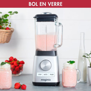 Blender MAGIMIX Power 4 Chrome 11630