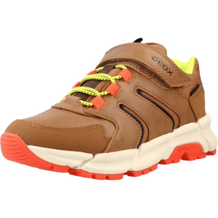 Zapatillas Niño de la marca GEOX  modelo J56LCD 0FUME MARRON
