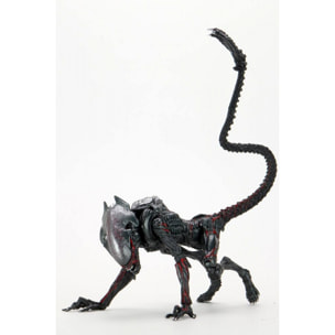 Aliens Action Figura Night Cougar Alien (kenner Tribute) 23 Cm Neca