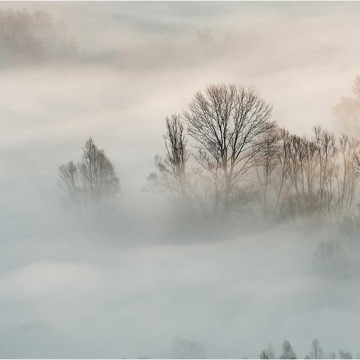 Tableau brouillard hivernal Toile imprimée