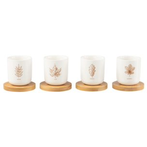 J-Line tasse à  café + sous-tasse Bambou Feuille - céramique - marron - boîte de 4