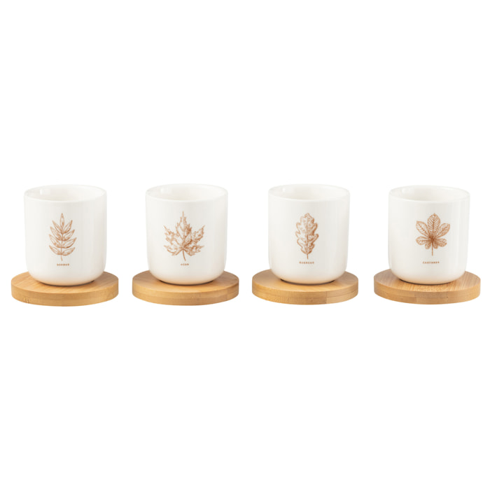 J-Line tasse à  café + sous-tasse Bambou Feuille - céramique - marron - boîte de 4