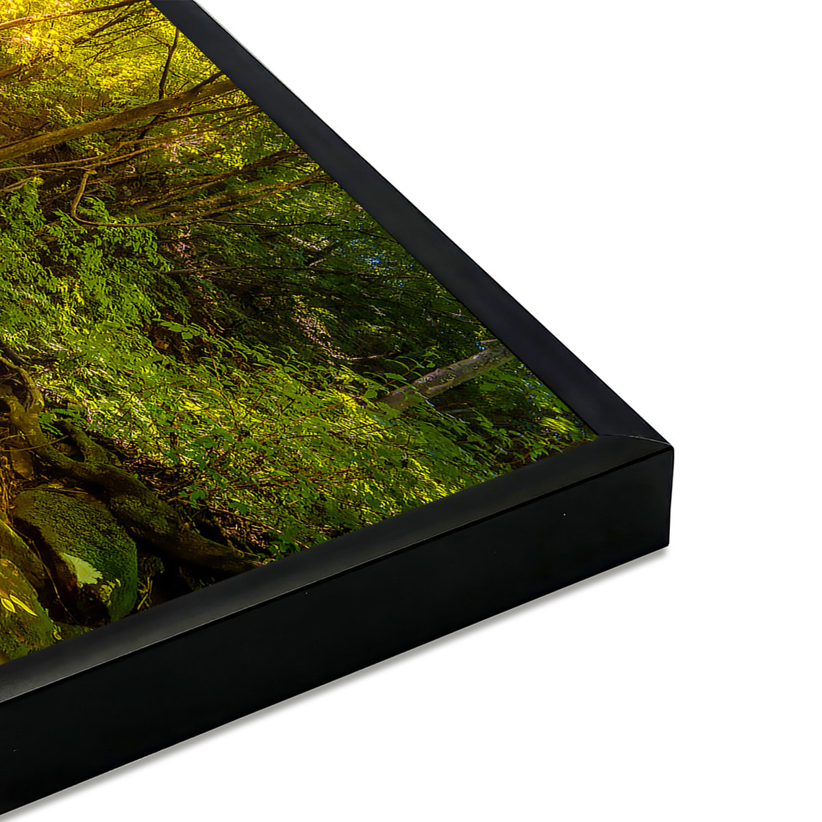 Affiche encadrée ruisseau en forêt baigné de lumière Affiche + cadre en métal - Noir