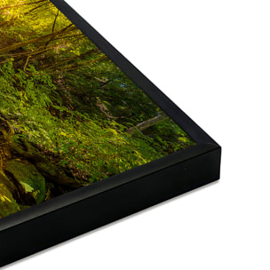 Affiche encadrée ruisseau en forêt baigné de lumière Affiche + cadre en métal - Noir