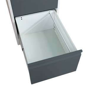 Armoire à dossiers FC1002GAK