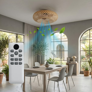 Ventilateur Plafond E27 SOLVIA D48CM