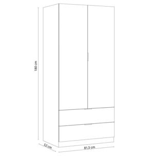 Armario Low Cost 2 puertas 2 cajones Blanco Artik (Blanco Mate) - Roble Canadian