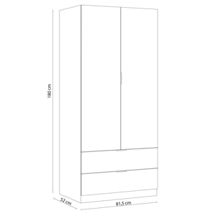 Armario Low Cost 2 puertas 2 cajones Blanco Artik (Blanco Mate) - Roble Canadian