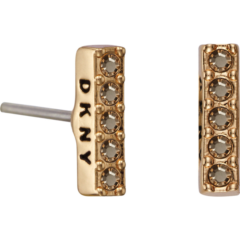 Pendientes Dkny Mujer 5520081