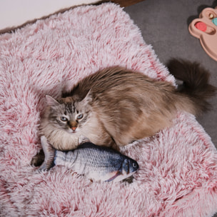 Jeu Interactif Poisson Pour Animaux2