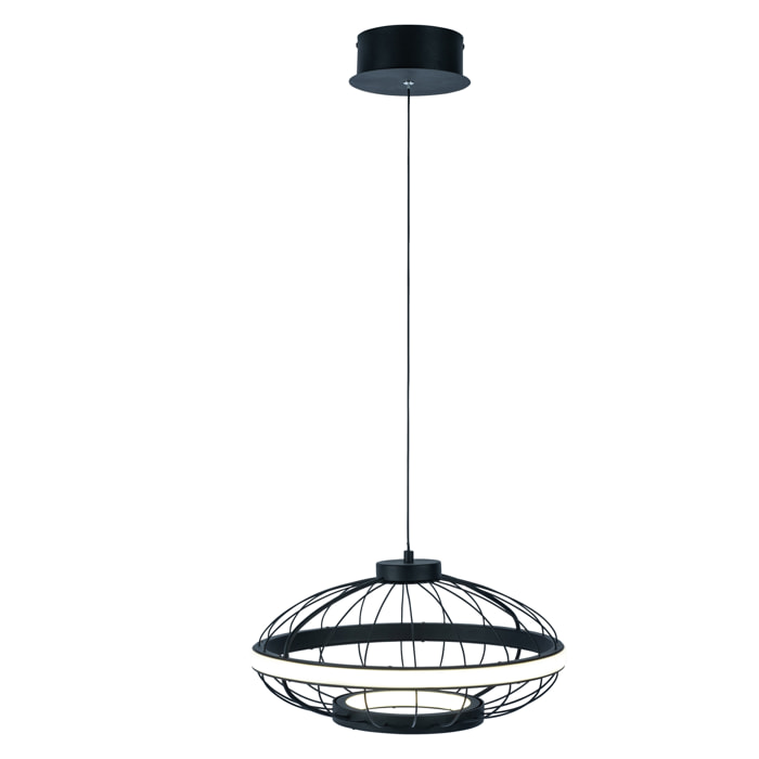 Forlight Colgante Cercle LED 22W Blanco Neutro - 4000K Negro para Interior de Techo en Comedor, Salón, Cocina