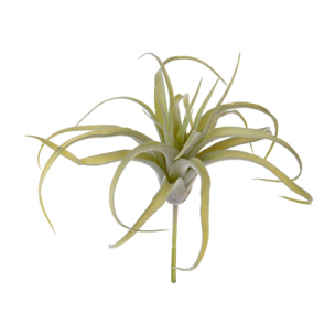 Tillandsia 16 Cm - Pezzi 6 - 5X16X5cm - Colore: Multicolore - Bianchi Dino - Piante Artificiali