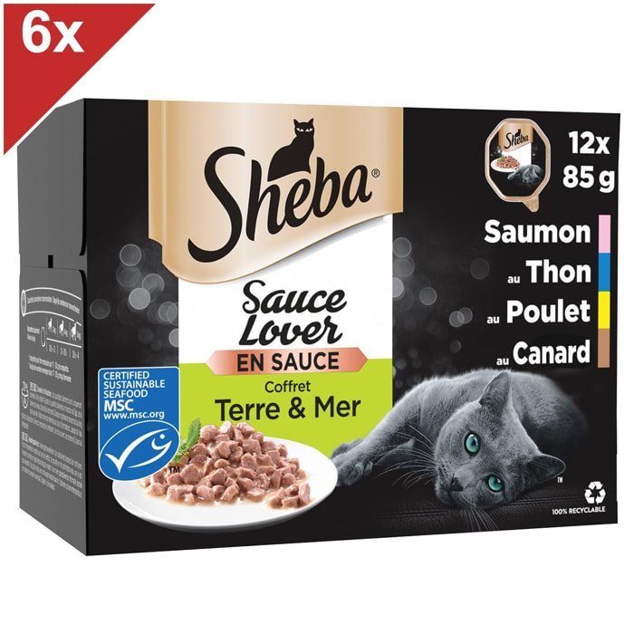 SHEBA Sauce Lover 72 Barquettes coffret terre & mer sauce pour chat 85g (6x12)
