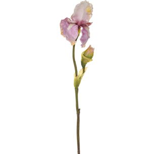 Iris Composto Da 2 Fiori. Altezza 85 Cm - Pezzi 4 - 6X85X6cm - Colore: Altro - Bianchi Dino - Fiori Artificiali