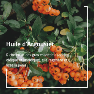 WELEDA - Duo Huile dynamisante à l'Argousier - Soin corporel - Revitalise et régénère - Vegan* -Certifié Natrue** - Flacon-pompe 100 ml  x 2