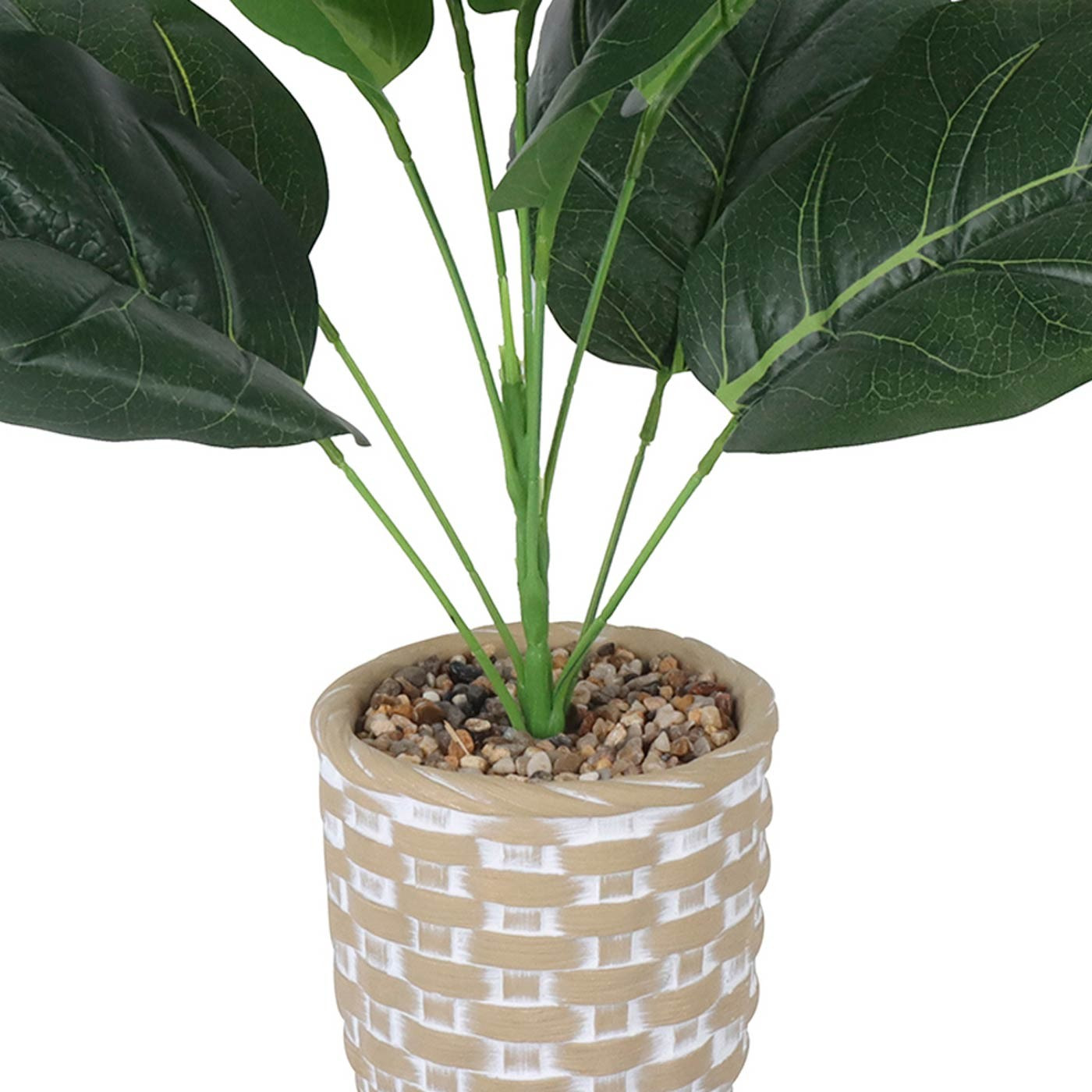 Planta briana 36cm