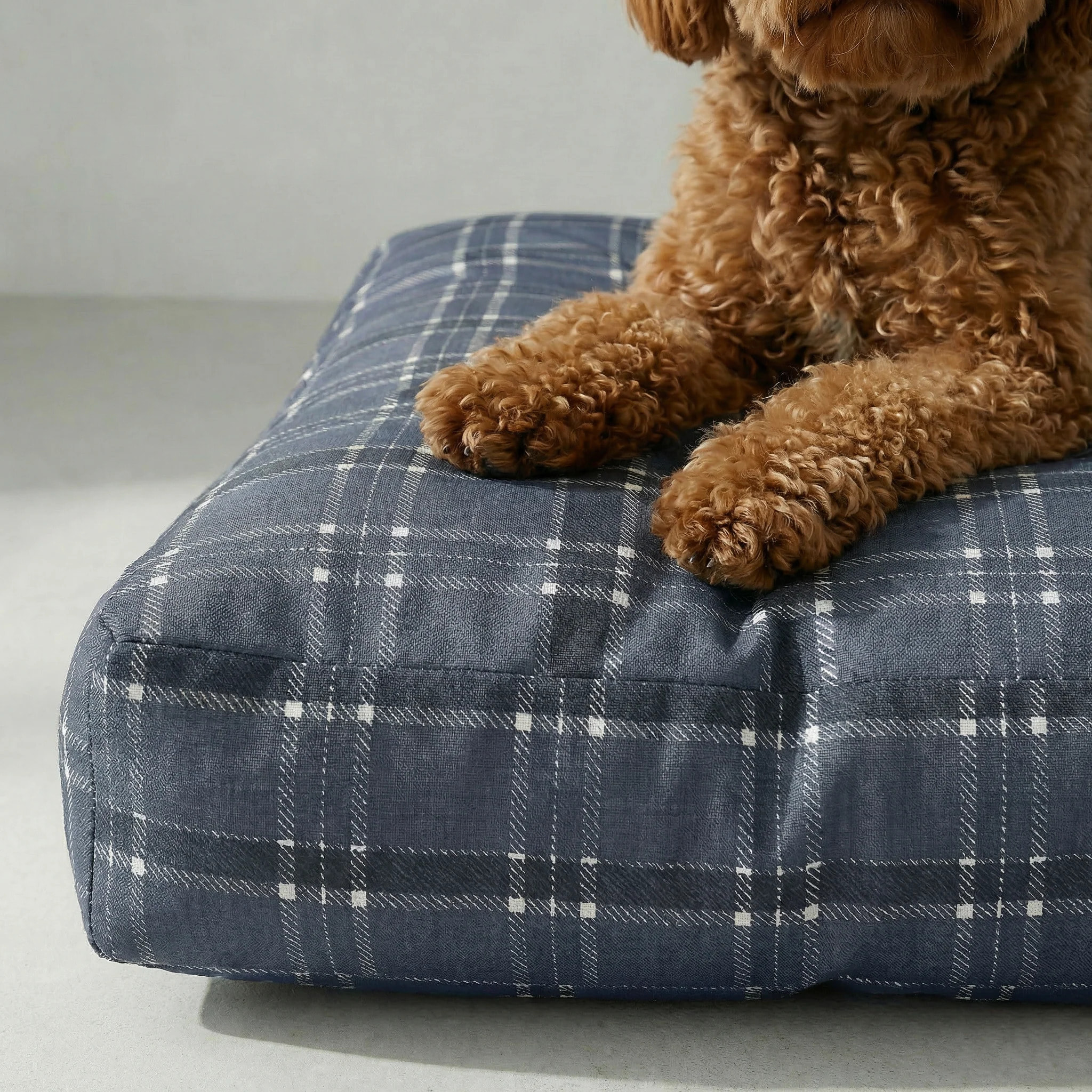 Lit pour animaux antitaches Camilo Blue