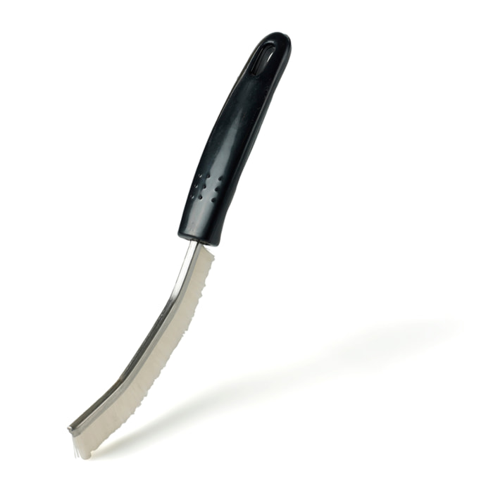 Brosse à écailler les poissons