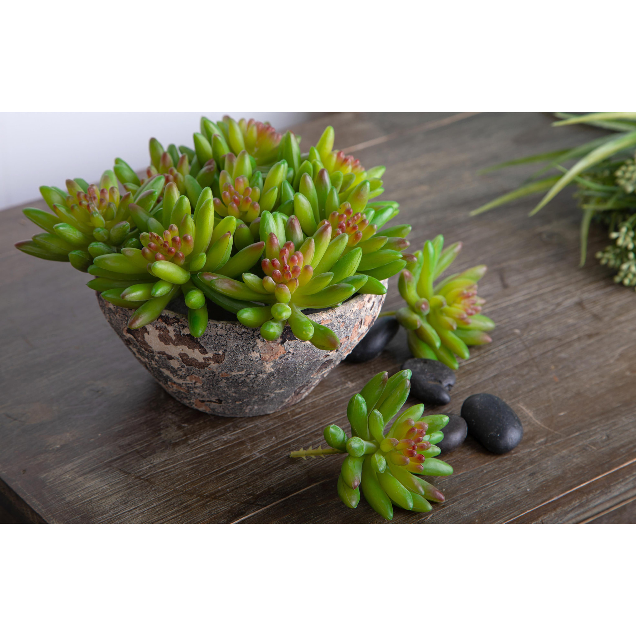 Crassula Cactus. Altezza 9 Cm - Pezzi 6 - 10X9X10cm - Colore: Verde - Bianchi Dino - Piante Artificiali