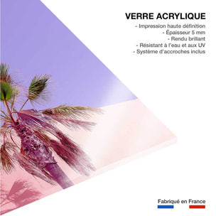 Tableau pink palma Tableau plexiglas