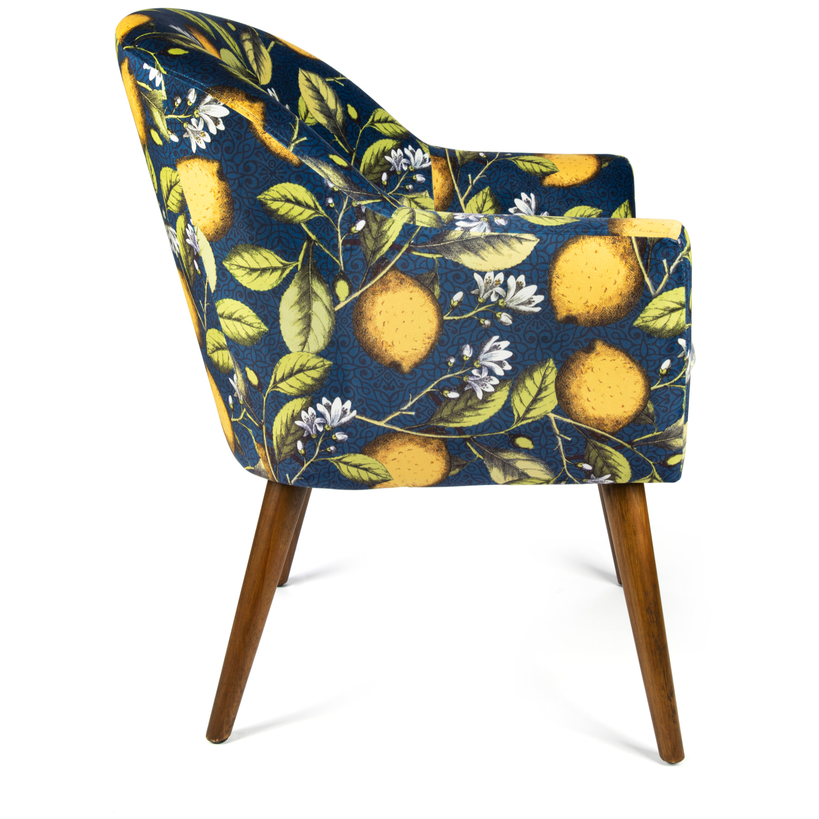 Poltrona Excelsa Boboli in poliestere e multistrato 70,5x65x83 cm multicolore