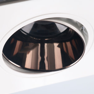 FORLIGHT Forlight Proyector Solar LED Exterior IP65, 15W Luz Blanca Fría 6500K, Resistente al Agua y Golpes, Instalación Fácil con Pinchos, Ecológico y Versátil para Jardines y Terrazas