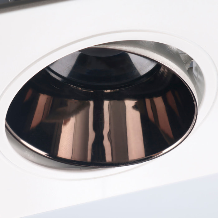 FORLIGHT Forlight Proyector Solar LED Exterior IP65, 15W Luz Blanca Fría 6500K, Resistente al Agua y Golpes, Instalación Fácil con Pinchos, Ecológico y Versátil para Jardines y Terrazas