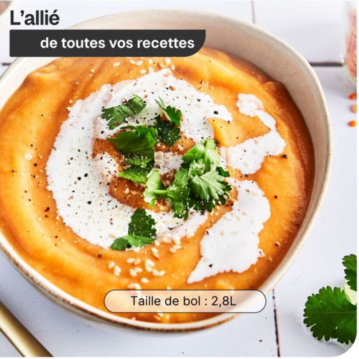 Blender MAGIMIX Power 5 XL Chrome Mat 11643