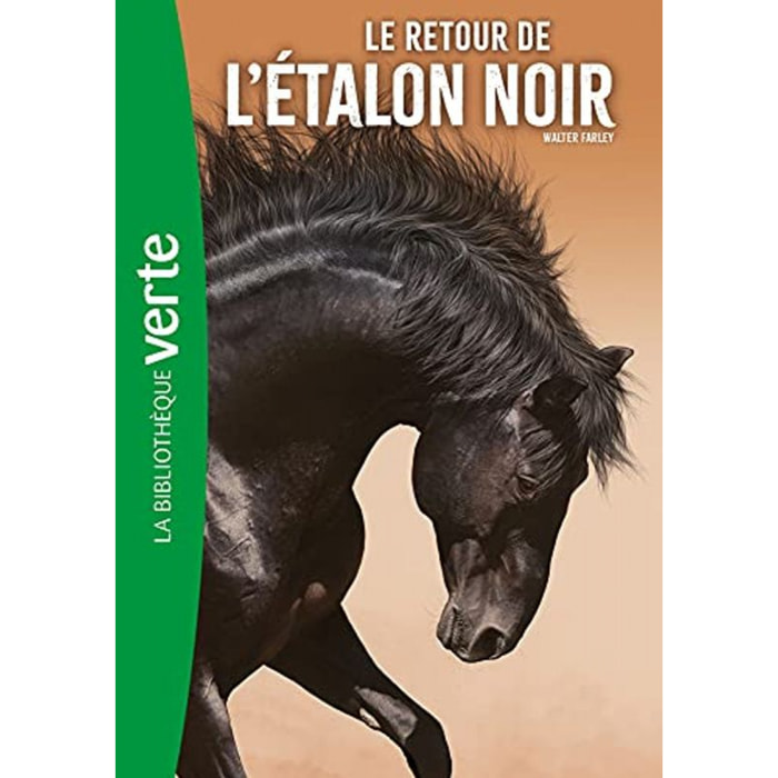 Farley, Walter | L'Étalon Noir 02 NED - Le retour de l'Étalon Noir | Livre d'occasion