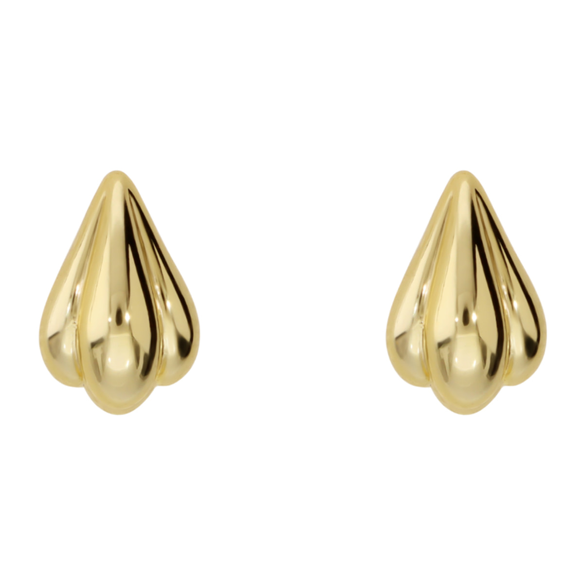 Orecchini a Lobo Conchiglia