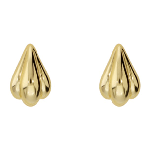 Orecchini a Lobo Conchiglia