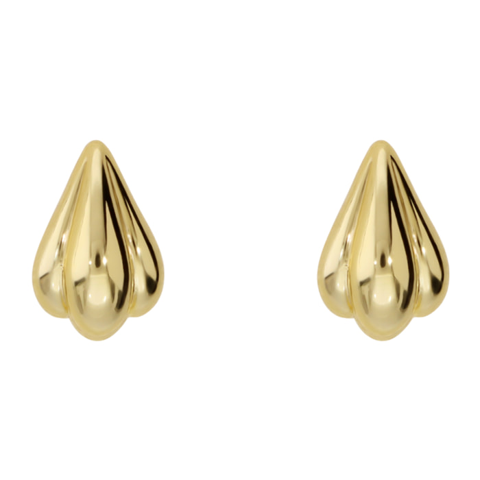 Orecchini a Lobo Conchiglia