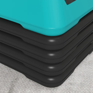 Stepper aerobic fitness réglable 5 niveaux H.10/15/20/25/30 cm max. 150 Kg turquoise noir