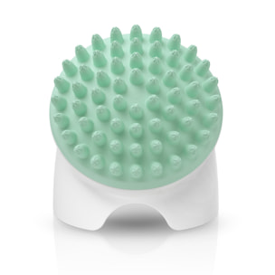 Braun Recharge Brosse Massage